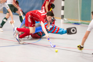 Hockey - Herren_2015_02_01-19